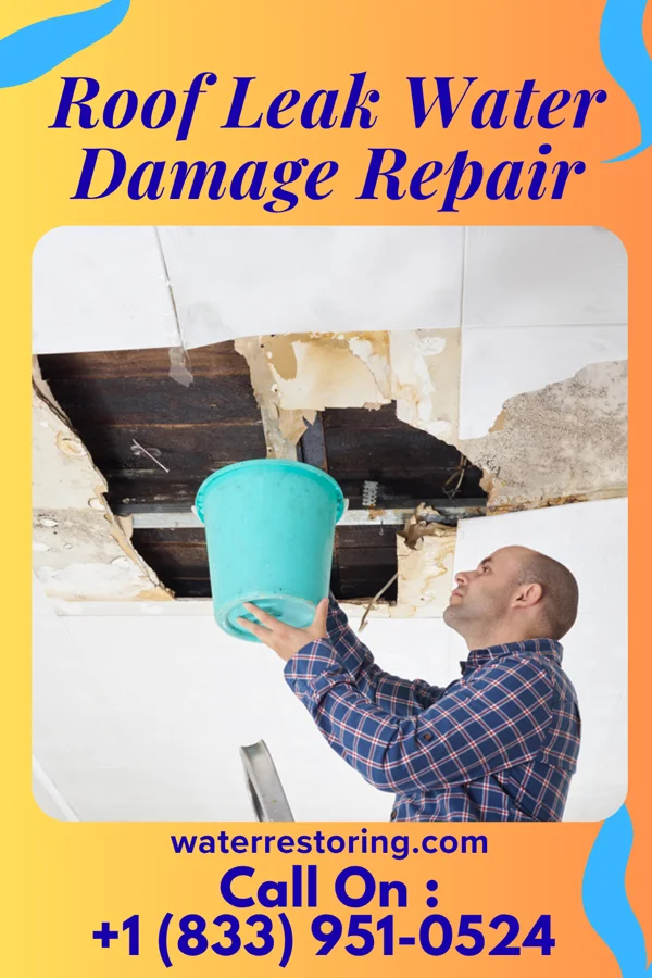 Roof Leak Water Damage Repair in Haddam, KS